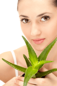 Ntụziaka aloe site na mkpirisi nke mbụ